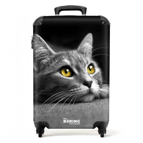 Zwart witte kat met gele ogen