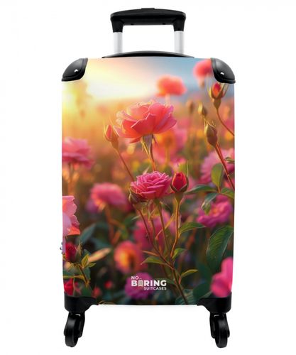 Roze rozen bij zonsondergang.