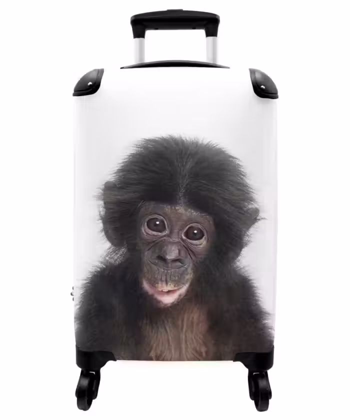 Koffer - Charlie Chimp