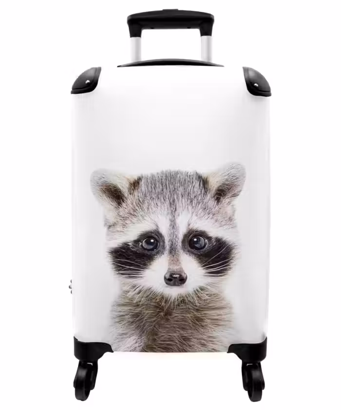 Koffer - Rachid Racoon