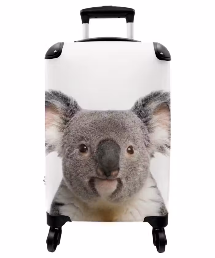 Koffer - Schattige Koala Beer