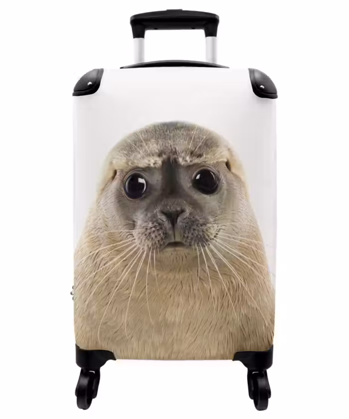 Koffer - Zyon Zeehond