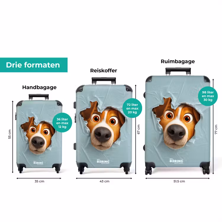 Koffer - Bruine hond door gescheurd blauw plastic — 3