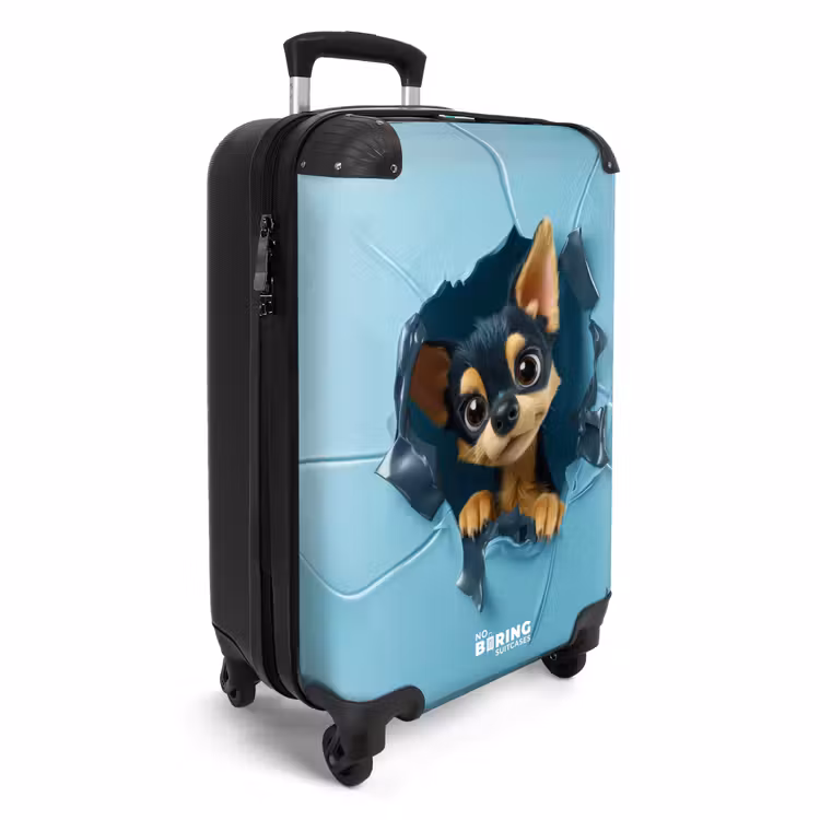Koffer - Kleine chihuahua steekt kop door blauwe wand — 2