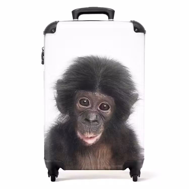 Koffer - Charlie Chimp — 1
