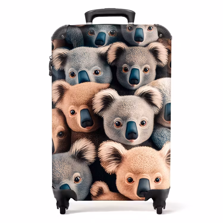 Koffer - Koala Kapriolen — 1