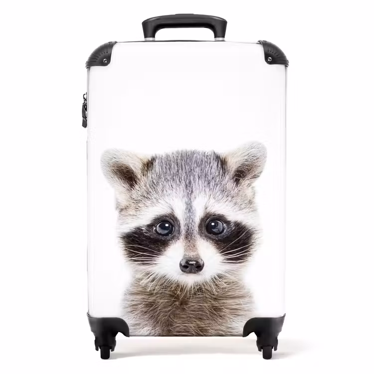 Koffer - Rachid Racoon — 1