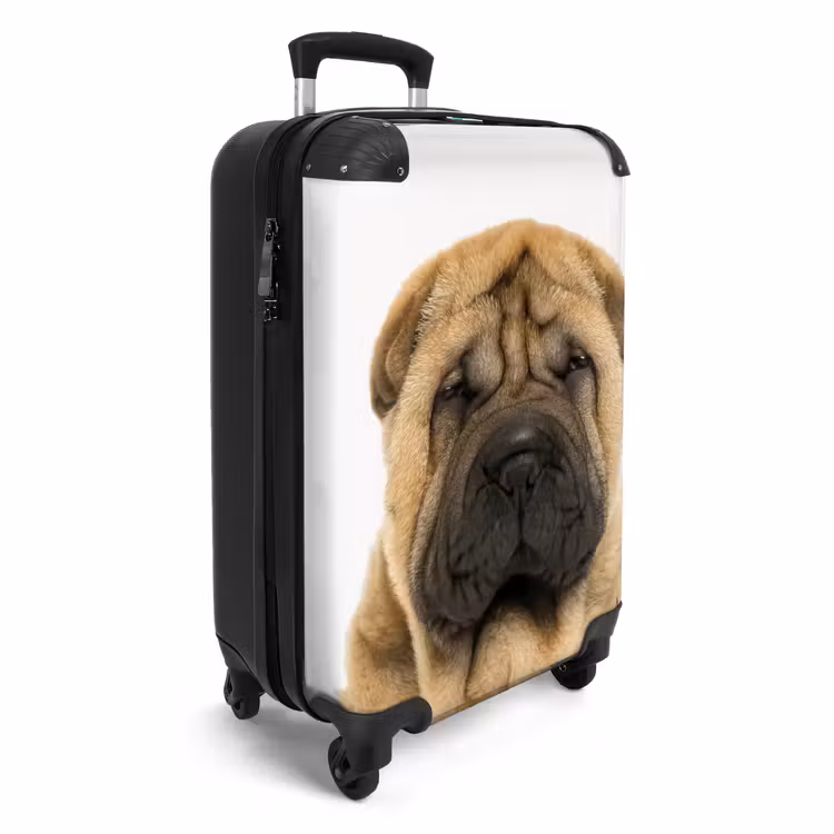 Koffer - Hondje met Boos Hoofd — 2