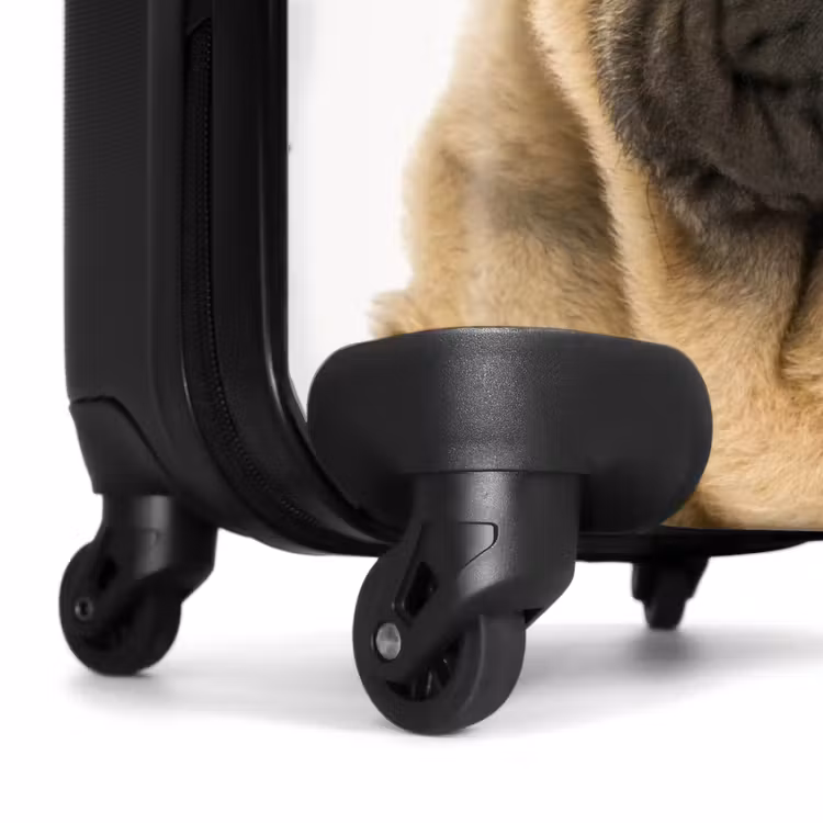 Koffer - Hondje met Boos Hoofd — 6