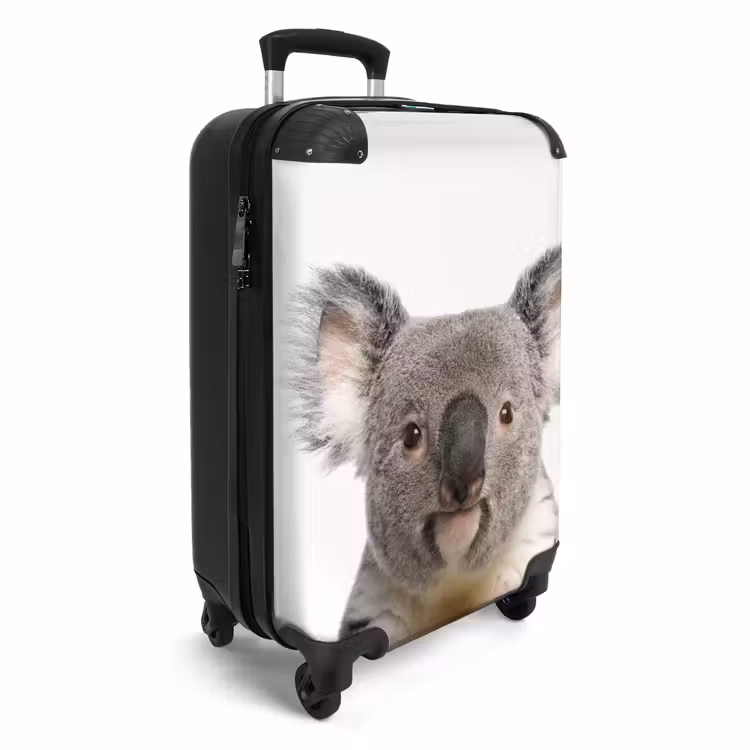 Koffer - Schattige Koala Beer — 2