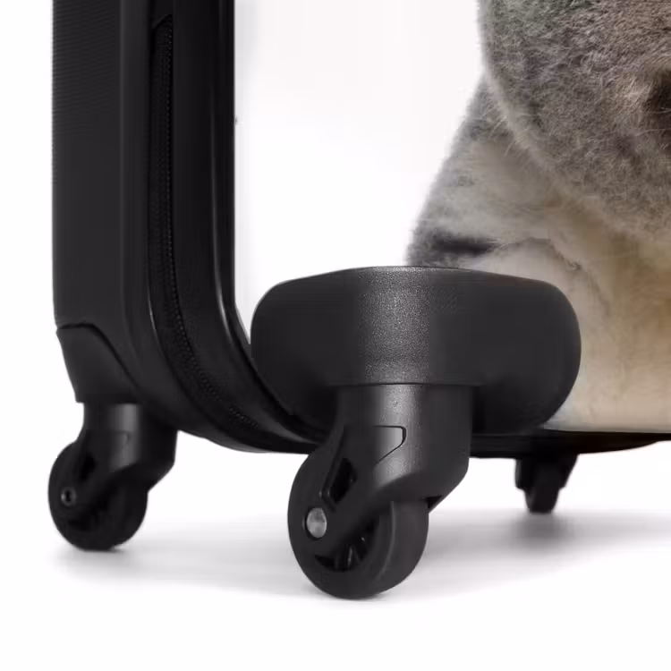 Koffer - Schattige Koala Beer — 6