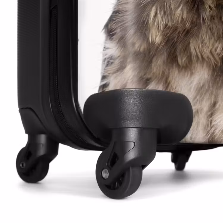 Koffer - Ulke Uil — 6