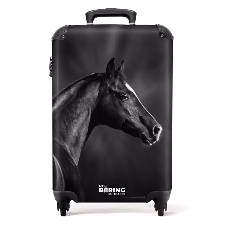 Koffer - zwarte hengst — 1