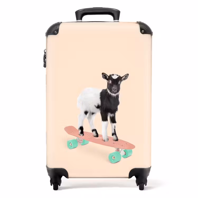 Koffer - Boardende bok — 1