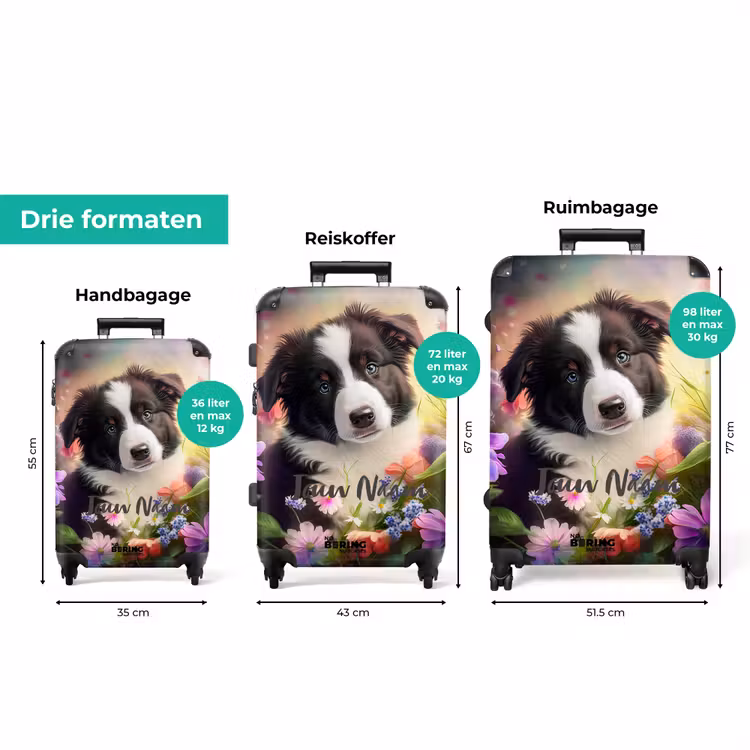 Koffer met naam - Lasse het Hondje — 3