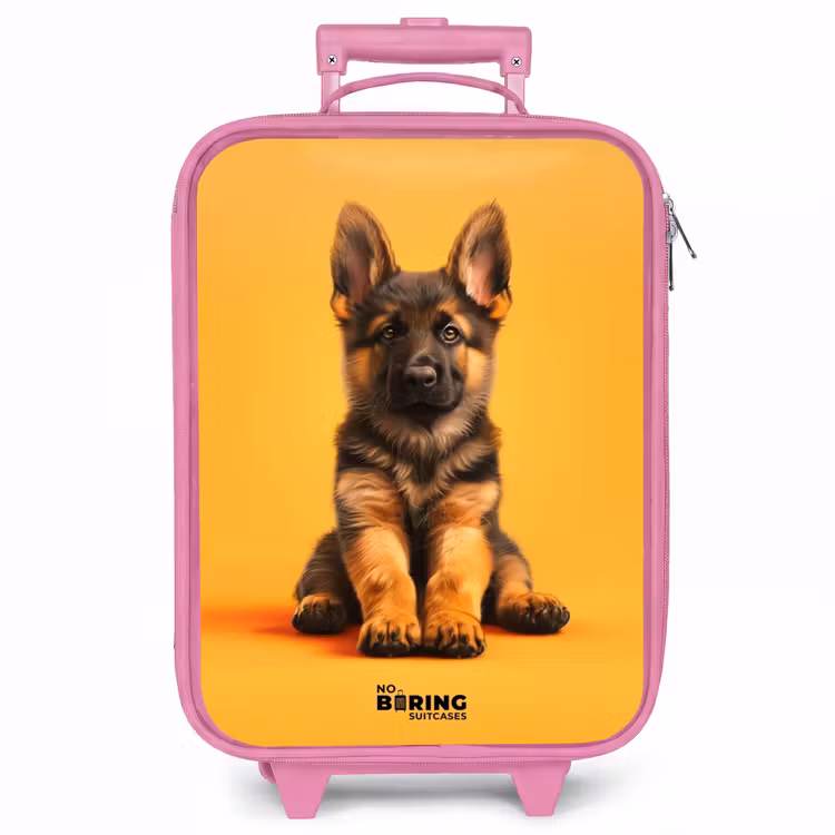 Kinderkoffer - Roze - Hein herder — 1