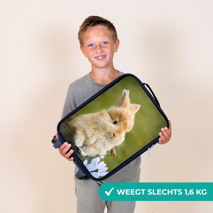 Kinderkoffer - Konijn in bloempot — 2