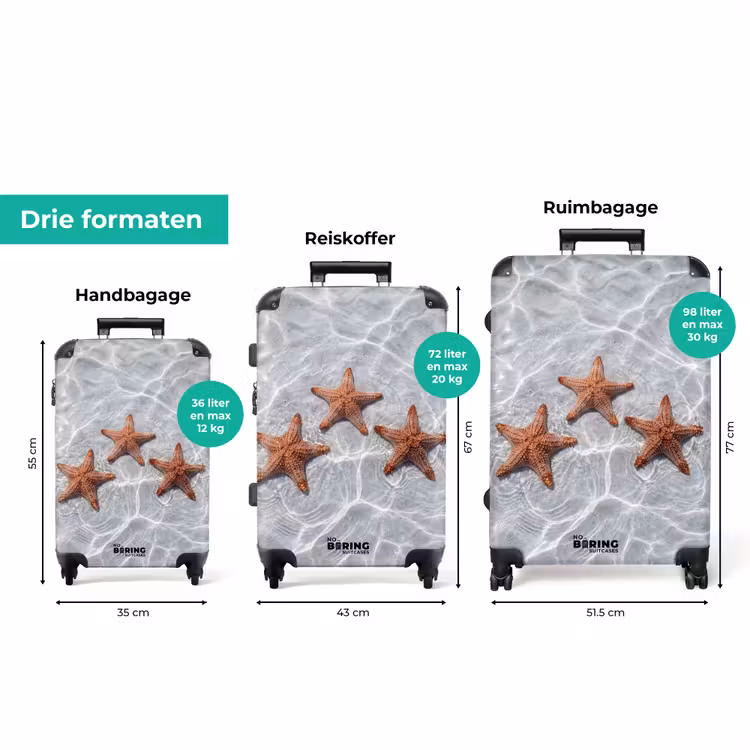 Koffer - Zeesterren - Water - Helder — 8