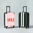 Allehandbagage