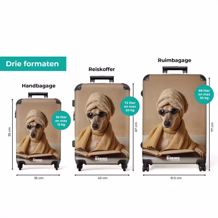 Koffer - Bad - Hond - Boek - Zonnebril — 8
