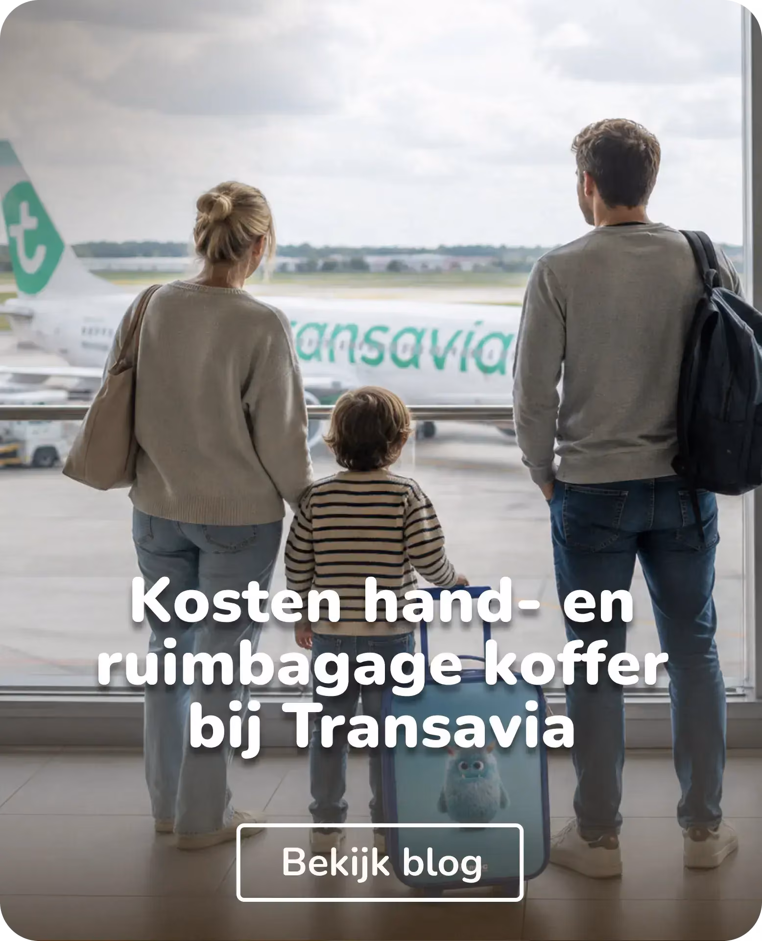 wat kost hand- of ruimbagage bij transavia