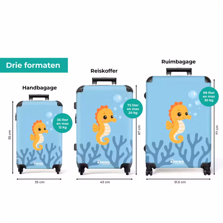 Koffer - Zeepaardje - Water - Koraal — 3