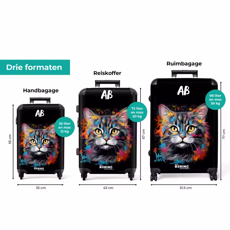 Koffer met naam - Kat met Kleurrijke Penseelstreken — 3