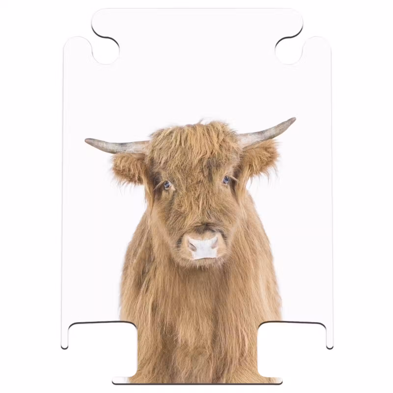 CaseSwap™ - Halbe Hooglander — 1