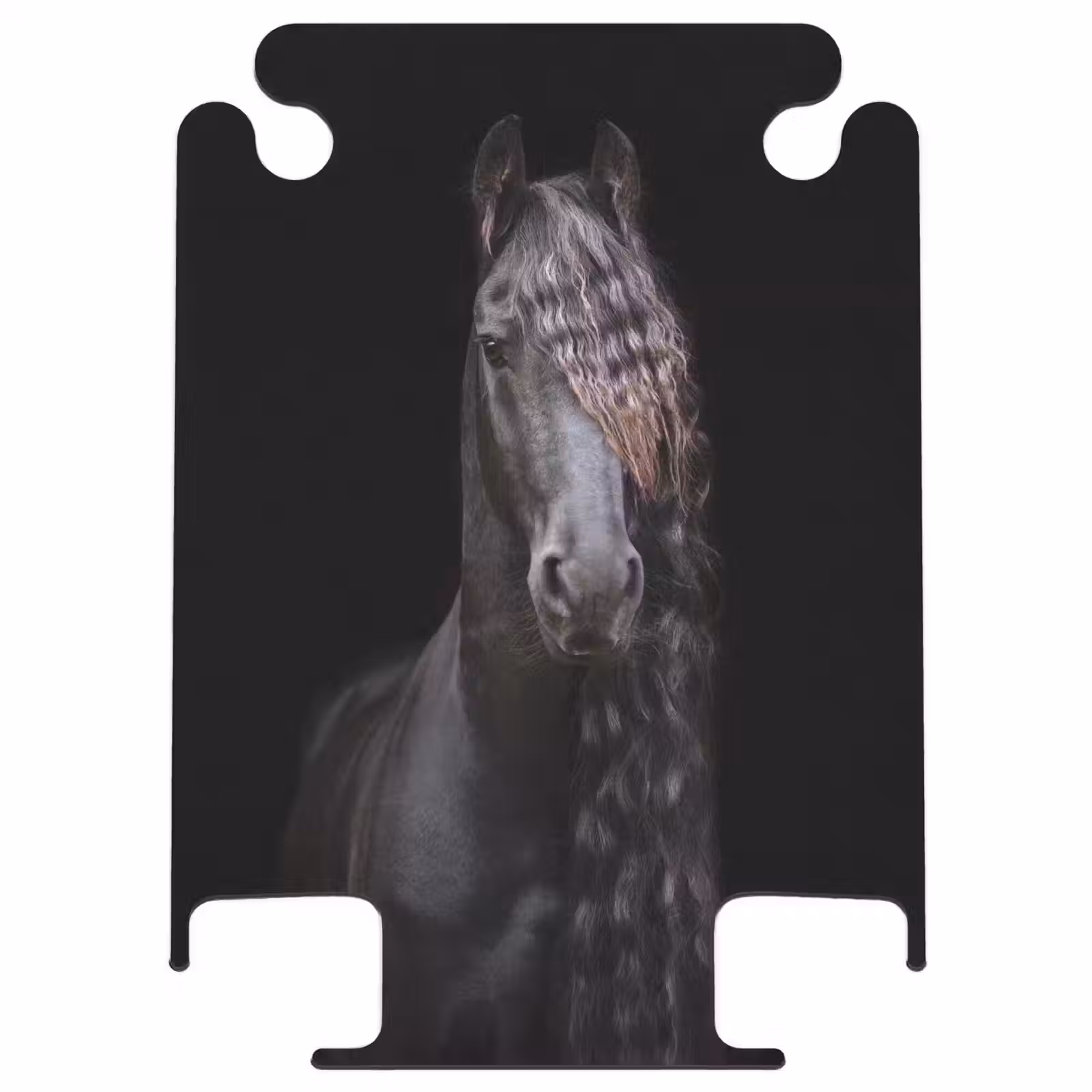 CaseSwap™ - Friese hengst — 1