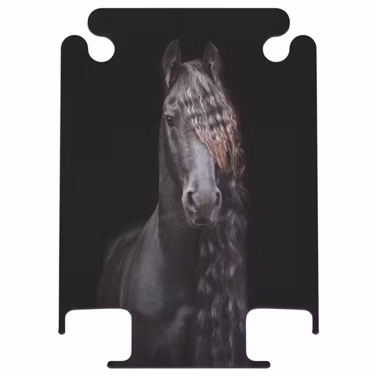 CaseSwap™ - Friese hengst — 1