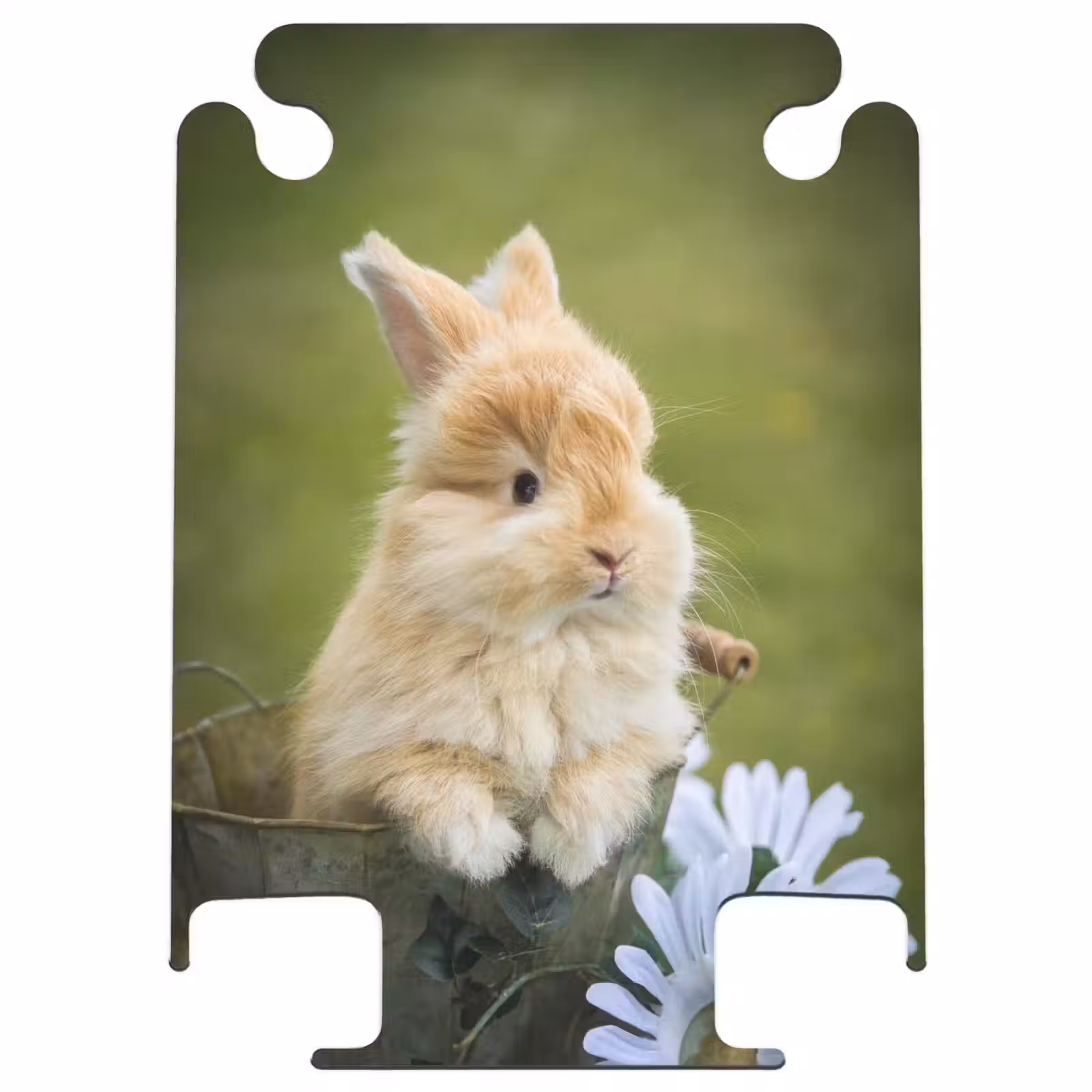 CaseSwap™ - Konijn in bloempot — 1