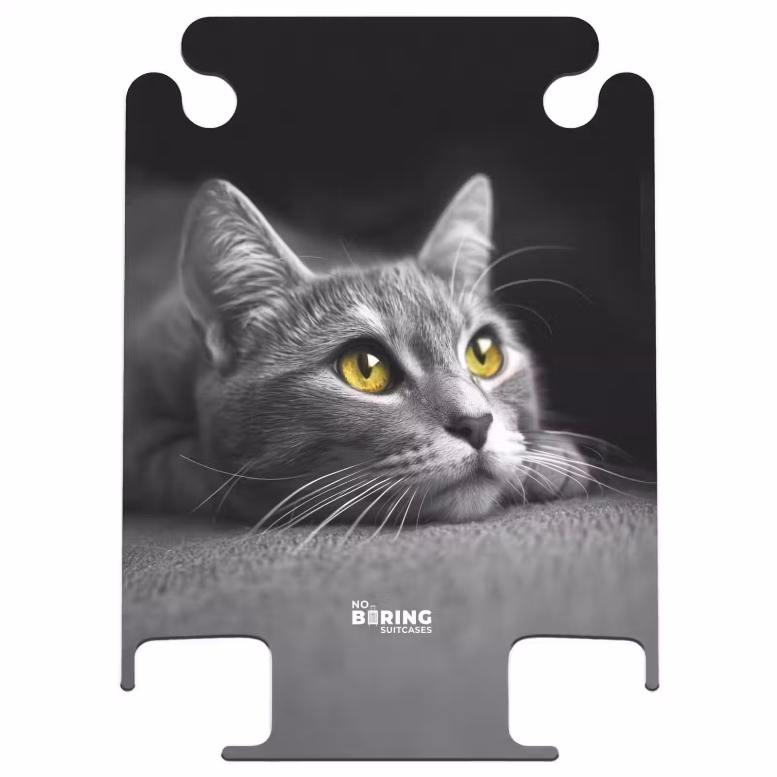 CaseSwap™ - Zwart witte kat met gele ogen — 1