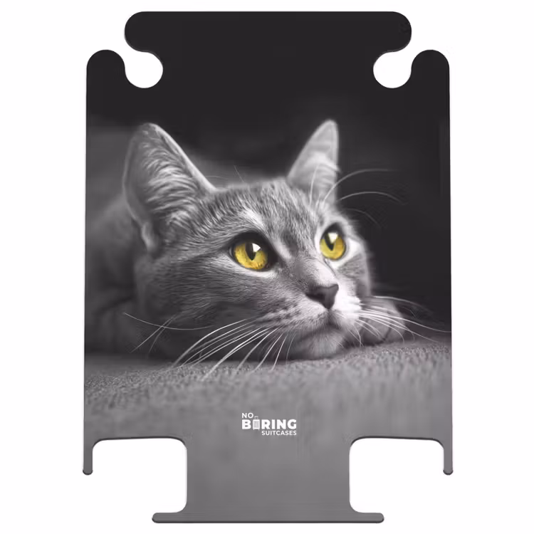 CaseSwap™ - Zwart witte kat met gele ogen — 1