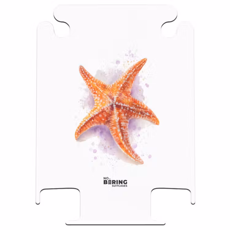 CaseSwap - Oranje zeester op een witte achtergrond — 1