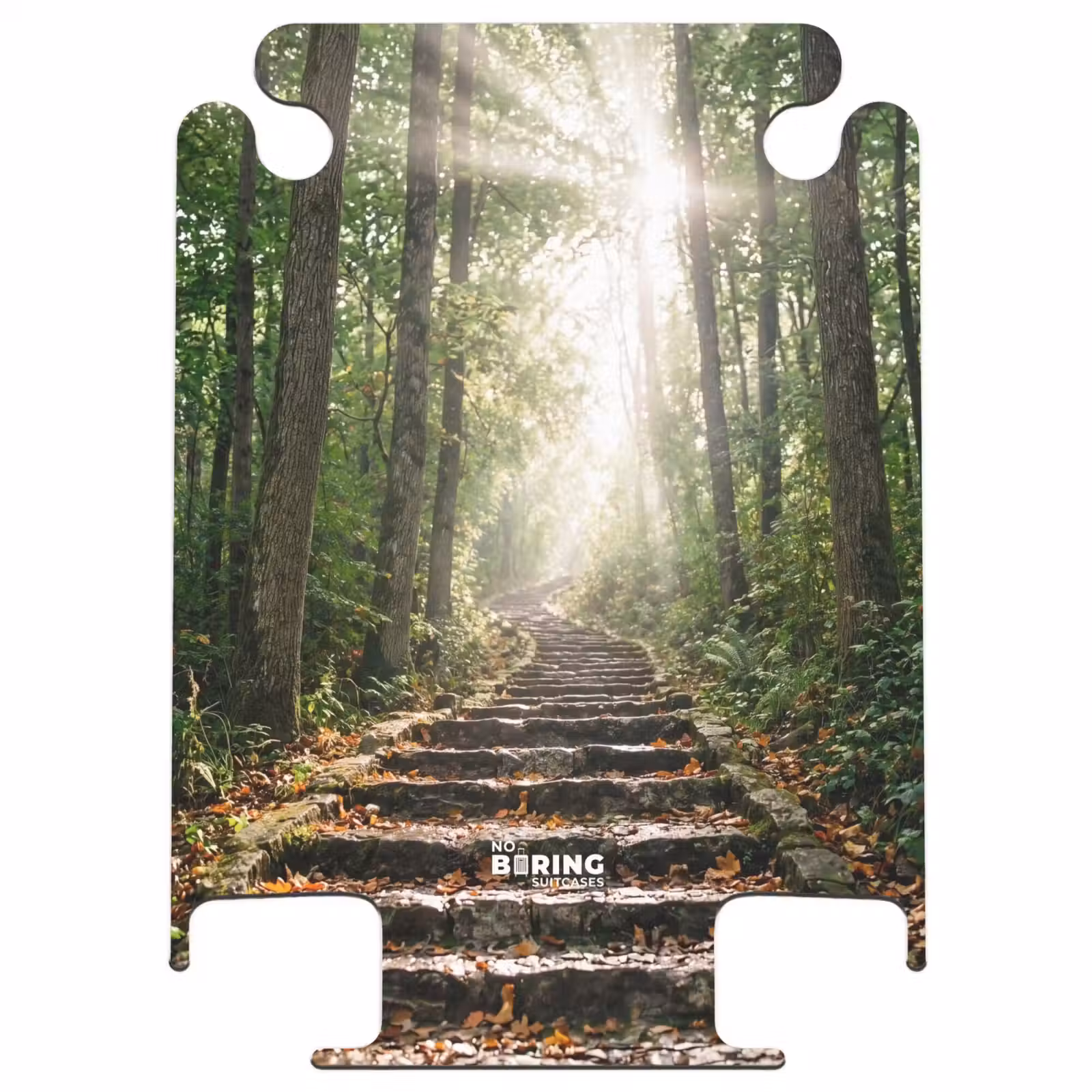 CaseSwap™ - Stenen - Trap - Bos - Natuur — 1