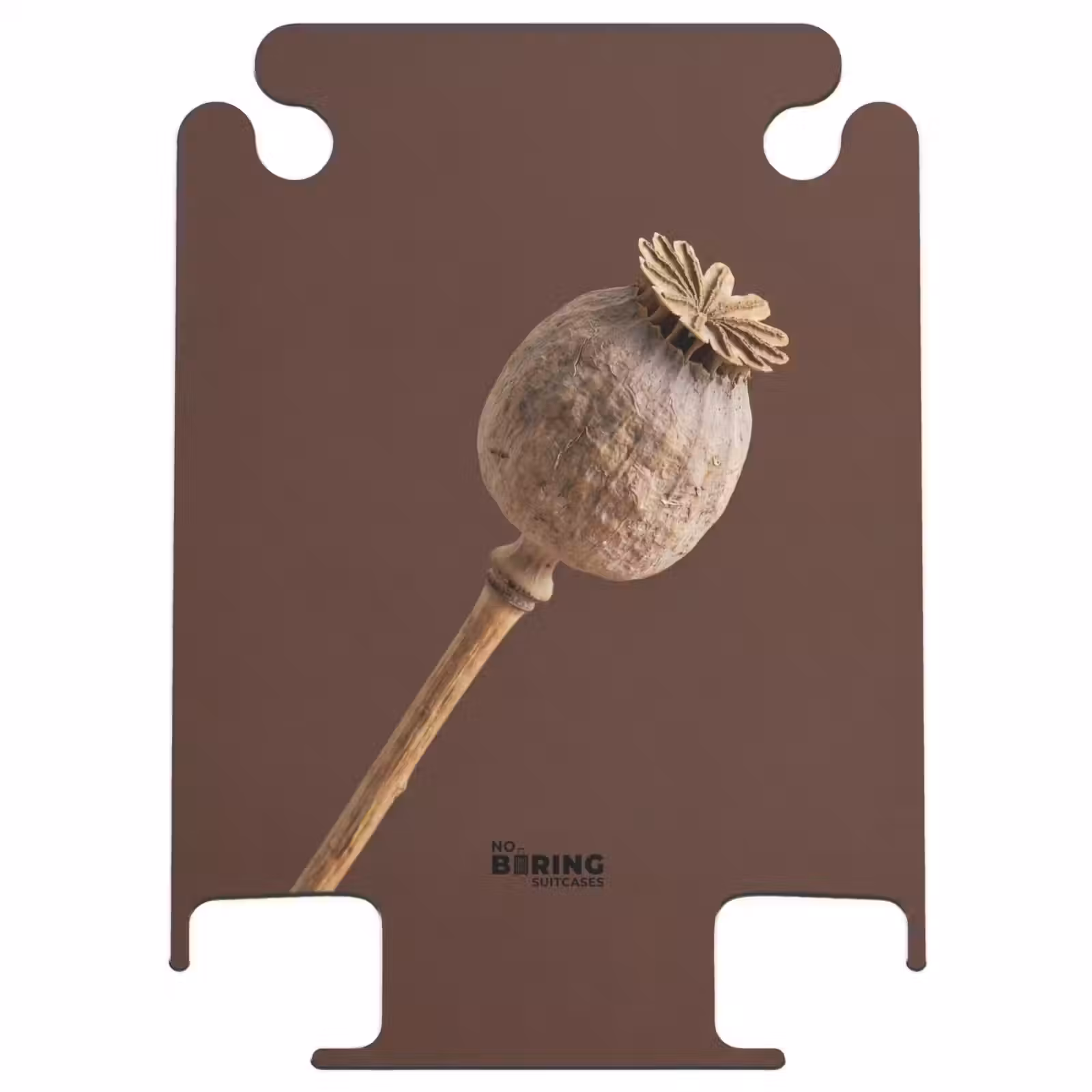 CaseSwap™ - Papaverbol - Droogbloem - Bruin - Minimalistisch — 1