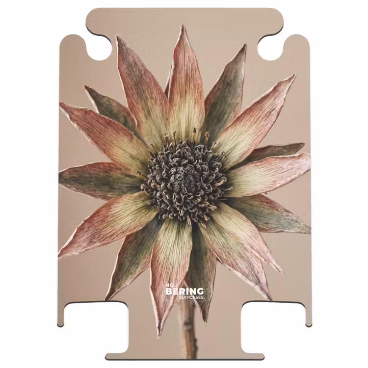 CaseSwap™ - Droogbloem - Protea - Vintage - Beige - Rustiek — 1