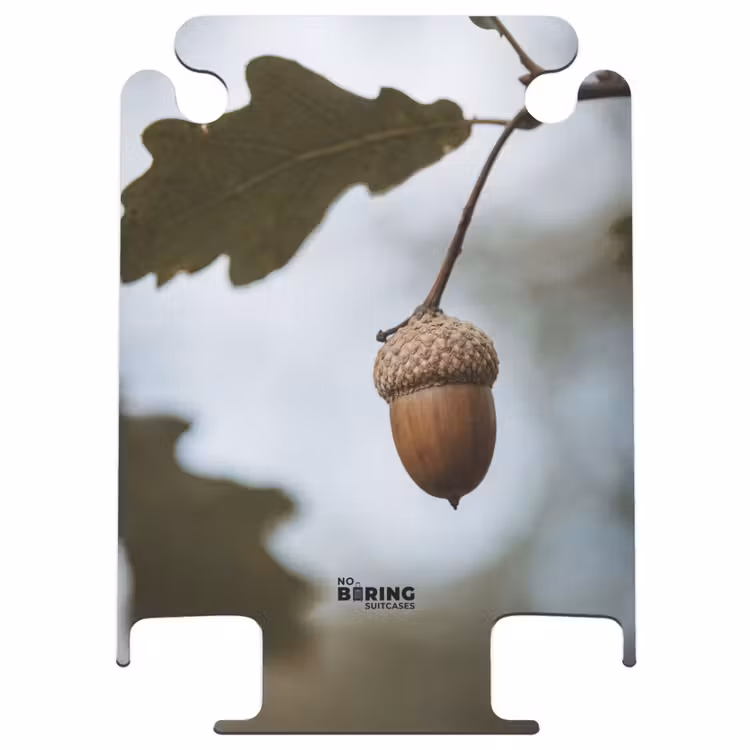 CaseSwap - Eikel - Eikenblad - Bos - Herfst - Natuur — 1