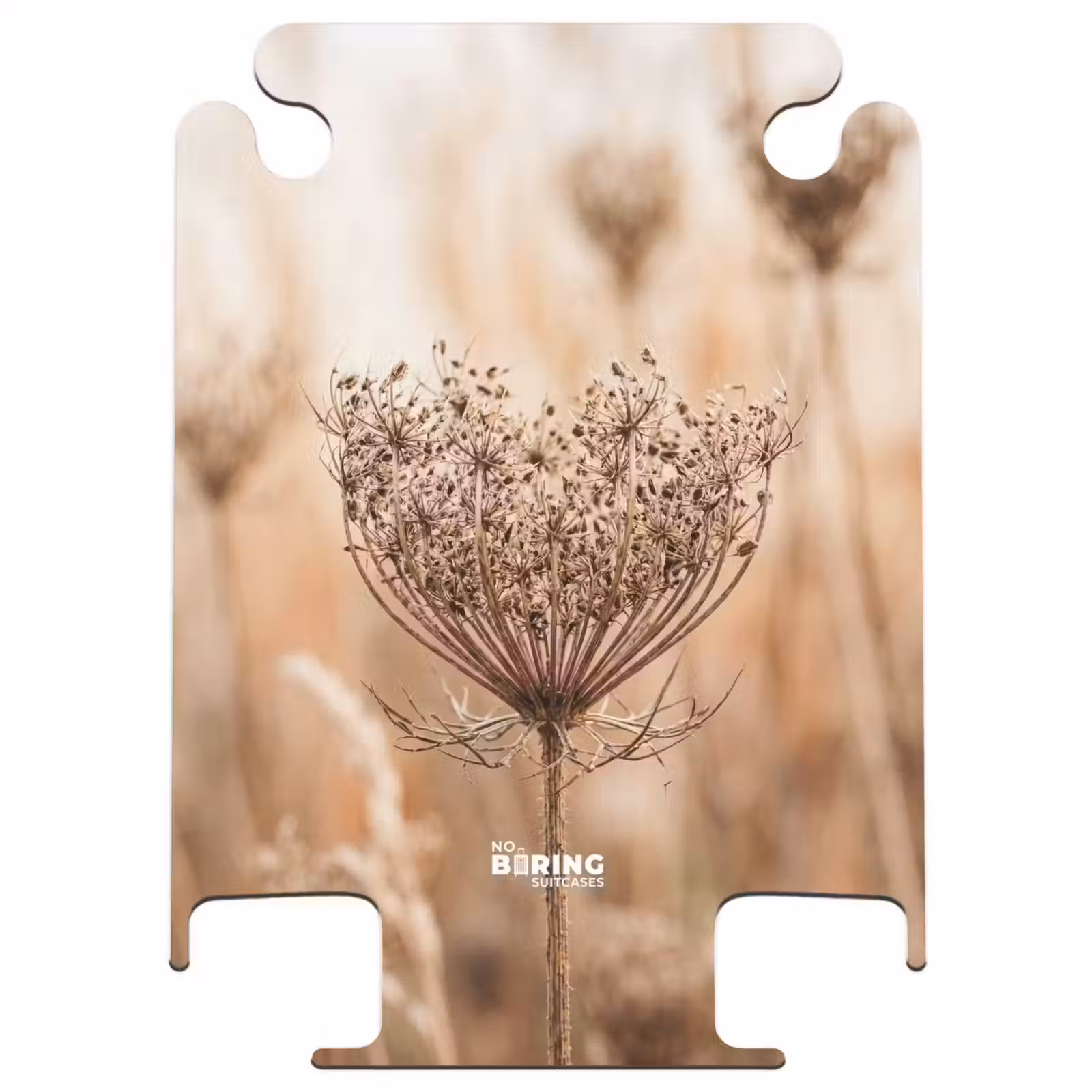 CaseSwap™ - Schermbloem - Droogbloem - Winter - Beige - Minimalistisch — 1