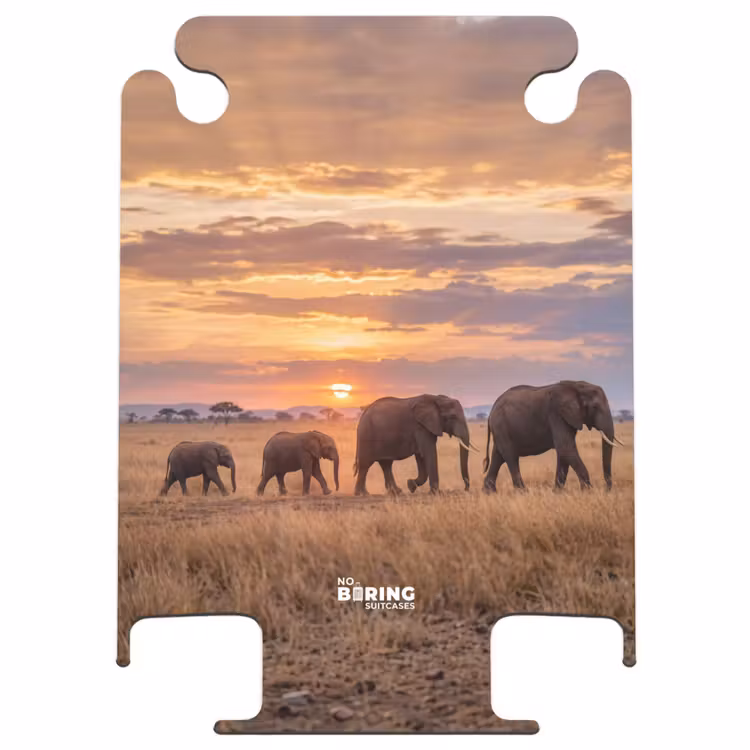 CaseSwap™ - Olifanten - Savanne - Zonsondergang - Afrika - Warm — 1