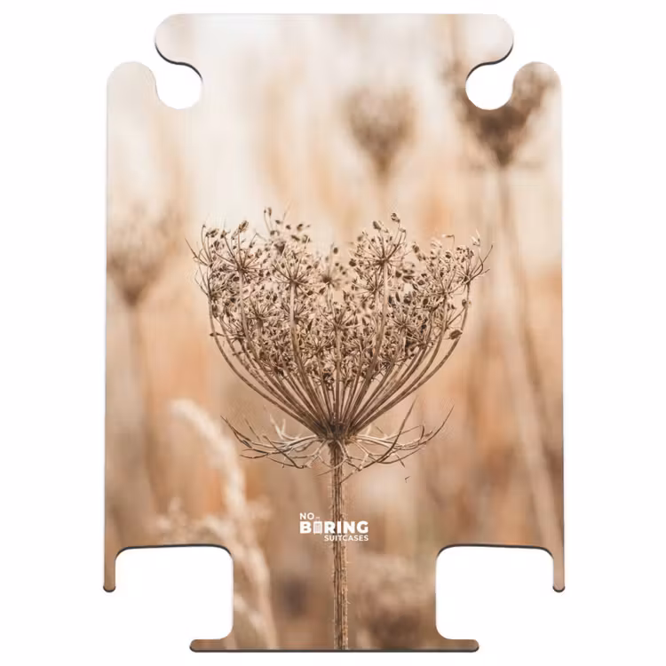 CaseSwap™ - Schermbloem - Droogbloem - Winter - Beige - Minimalistisch — 1