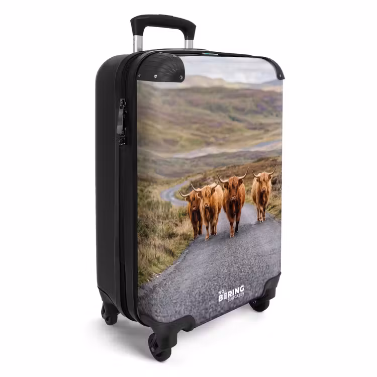 CaseSwap - Schotse Hooglanders - Weg - Landschap - Kudde — 2