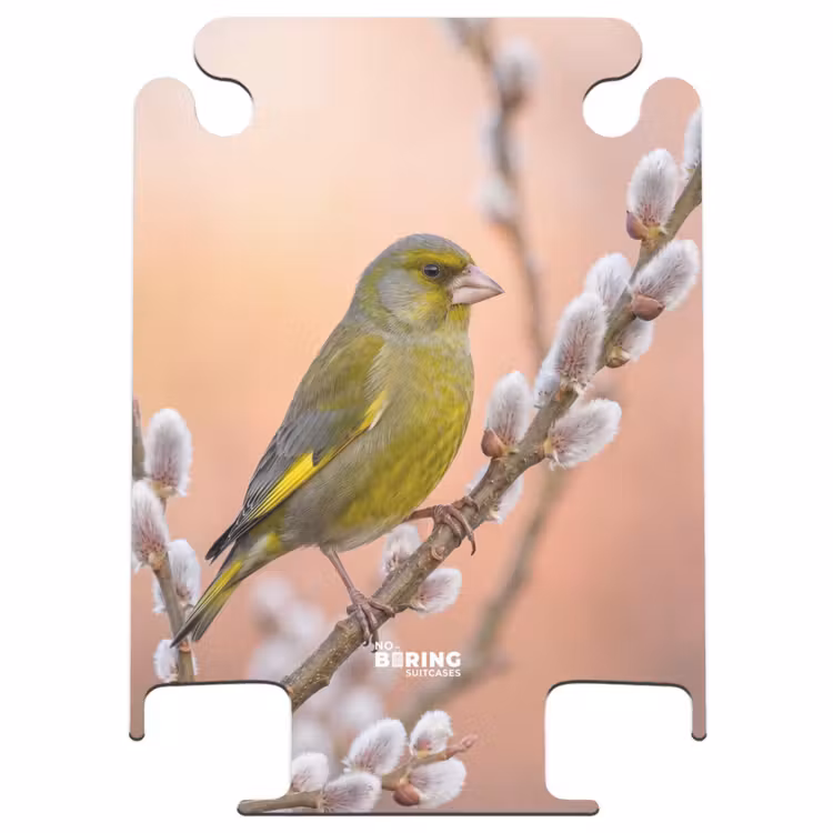 CaseSwap™ - Groenling - Katjes - Lente - Natuur - Zacht — 1