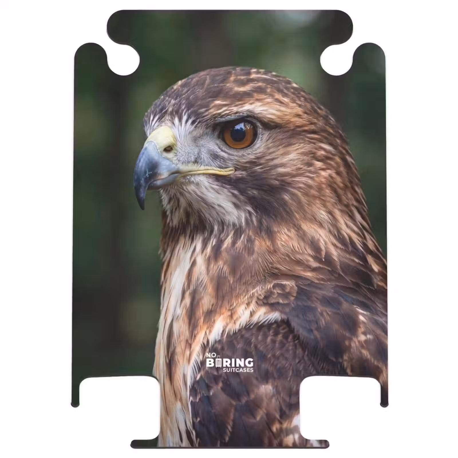 CaseSwap - Buizerd - Roofvogel - Natuur - Bruin — 1