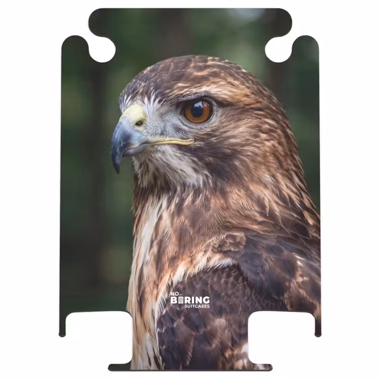 CaseSwap - Buizerd - Roofvogel - Natuur - Bruin — 1