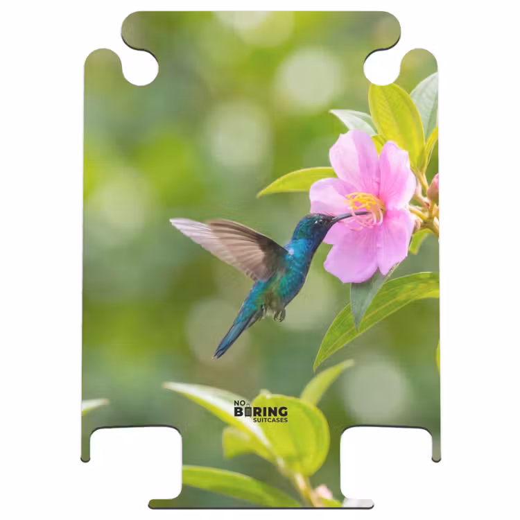 CaseSwap - Kolibrie - Bloem - Natuur - Groen — 1
