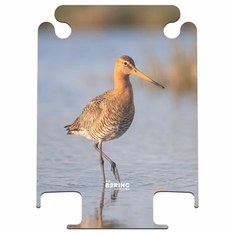 CaseSwap - Vogel - Steltloper - Water - Natuur — 1