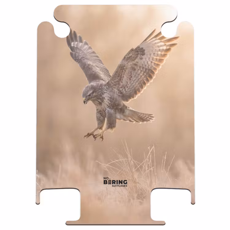 CaseSwap™ - Buizerd - Roofvogel - Natuur - Bruin — 1