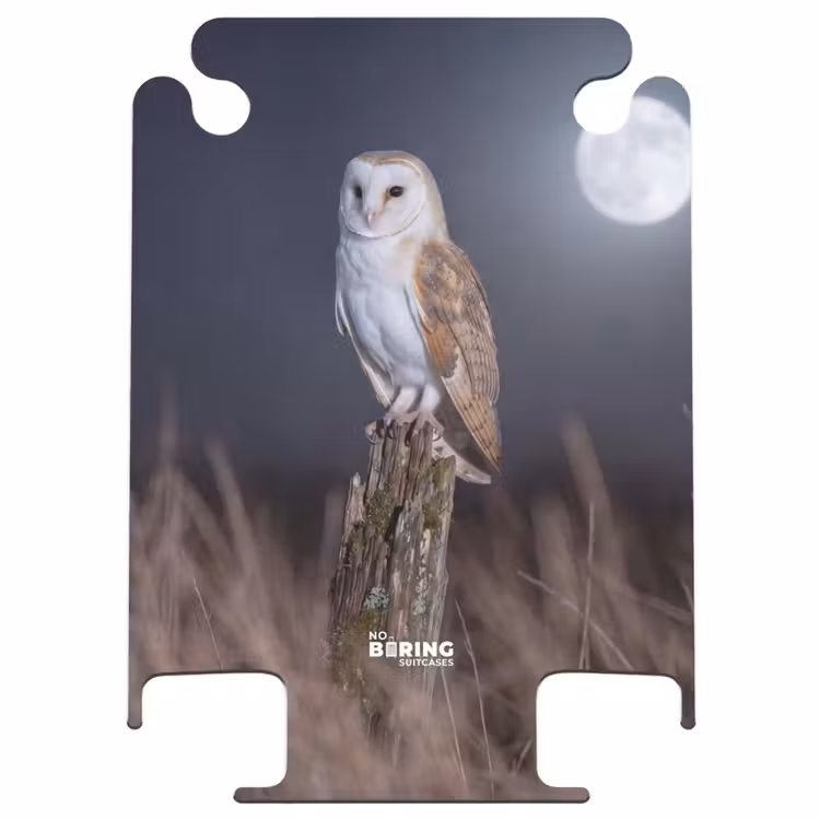 CaseSwap - Kerkuil - Maan - Nacht — 1