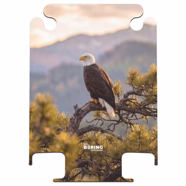 CaseSwap™ - Zeearend - Boom - Bergen - Groen — 1
